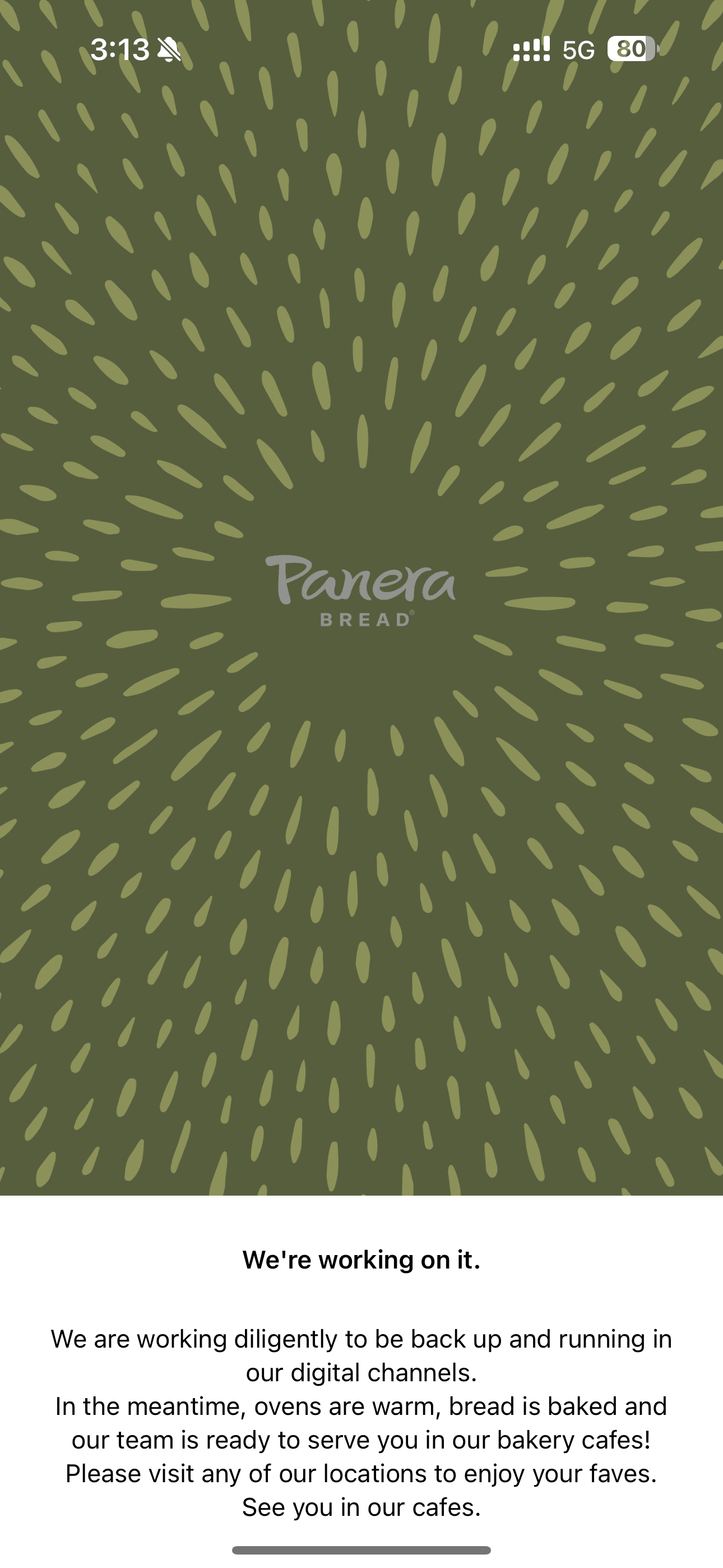 Panera App Error